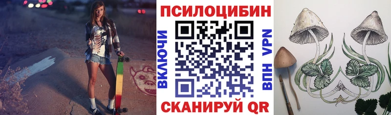 Галлюциногенные грибы GOLDEN TEACHER  купить  цена  Слюдянка 